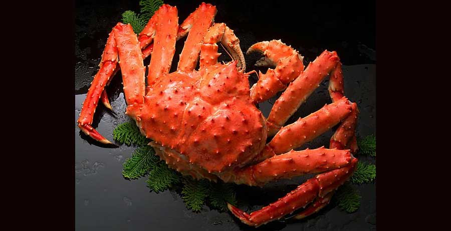 http://multikaicooker.co.nz/cdn/shop/articles/img-coconut-crab1.jpg?v=1678759650